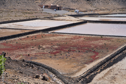 Salinas de janubio in Lanzarote, Spain