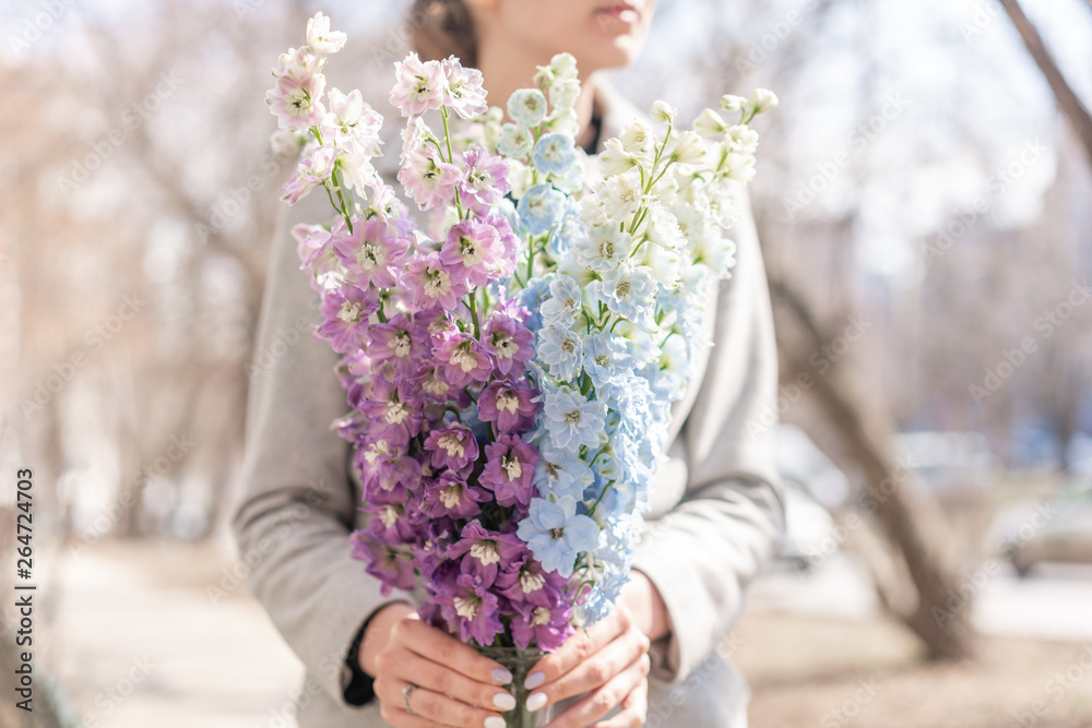 Bunch of fresh delphinium. Woman florist holds a bouquet of delphinium. gradient flowers from blue to purple Bunch of fresh delphinium. Woman florist holds a bouquet of delphinium. gradient flowers from blue to purple