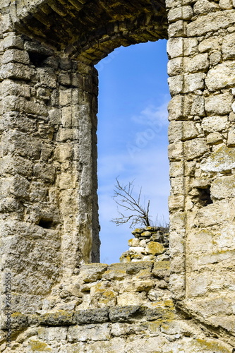 Dilapidated ancient synagogue. View of the sky through the arched window. The tree grows on the wall. The texture of the old dilapidated masonry. Rashkov, Moldova. Selective focus. photo