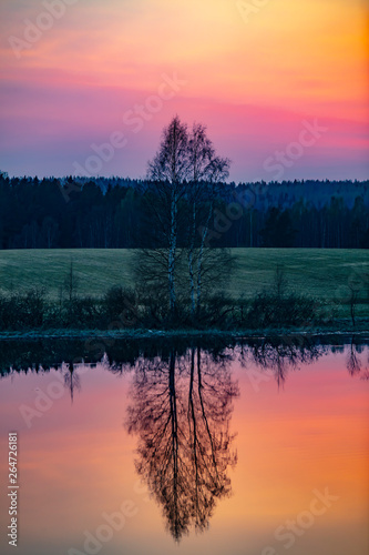 Beautiful spring sunset in Finland. The picture shows a leafless tree that is reflected from the water. The sky is orange red.