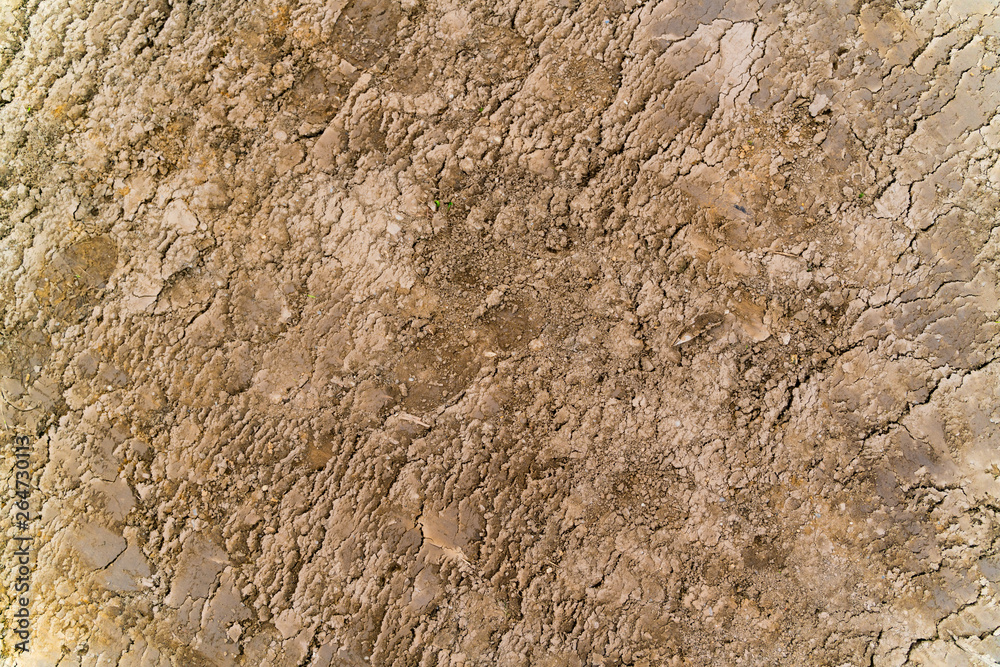 Cracked mud pattern. Cracked mud pattern.