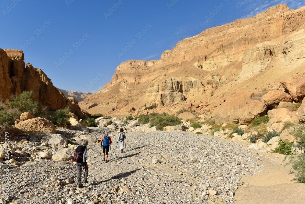 Scenic hike in riverbed of wadi Heymar, Judea desert, Israel.