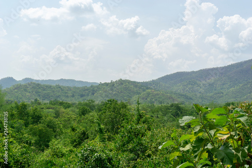 Mountain green tree.​ Blue sky with cloud 