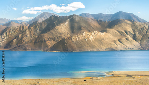 Pangong Lake at Leh Ladakh
