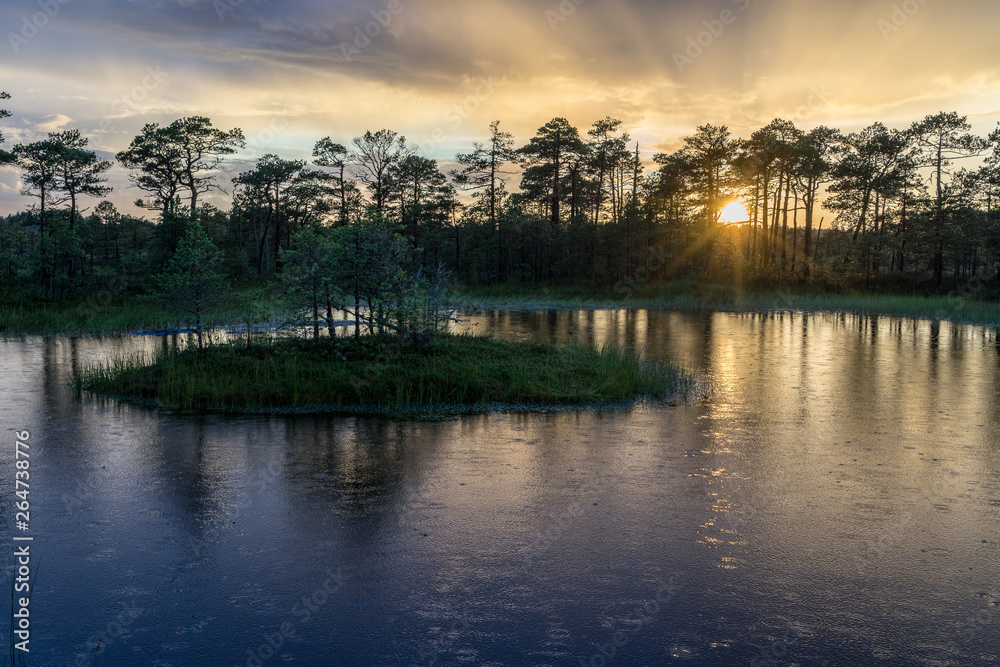 Naklejka premium Sunset in the bog, golden marsh, lakes and nature environment. Sundown evening light and rain