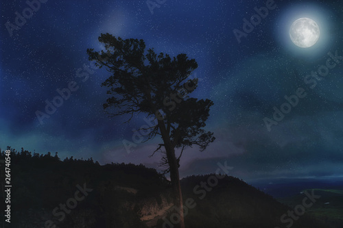 Amazing mountain landscape with a lonely tree on the background of the starry sky and the luminous full moon in the summer.