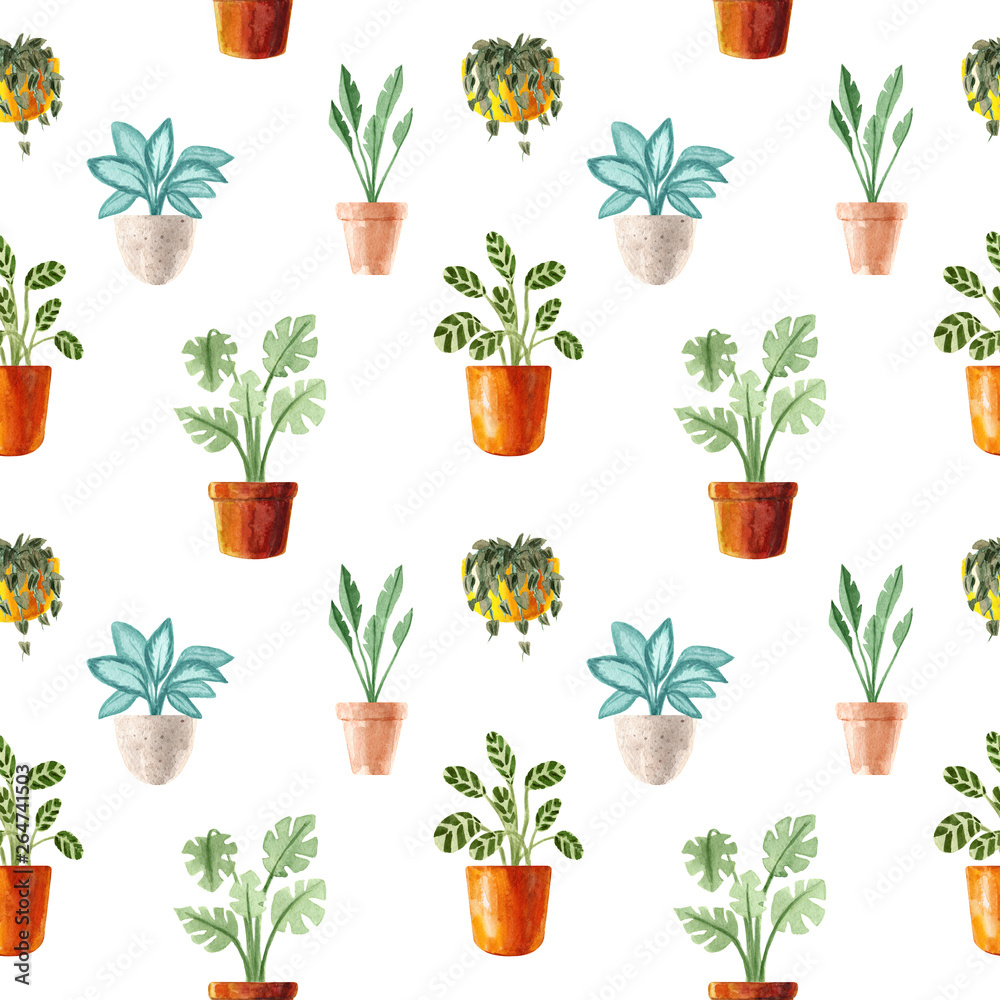 Watercolor houseplants. Hand painted house green plants in flower pots. Flowers isolated on white background. Watercolor houseplants. Hand painted house green plants in flower pots. Flowers isolated on white background.