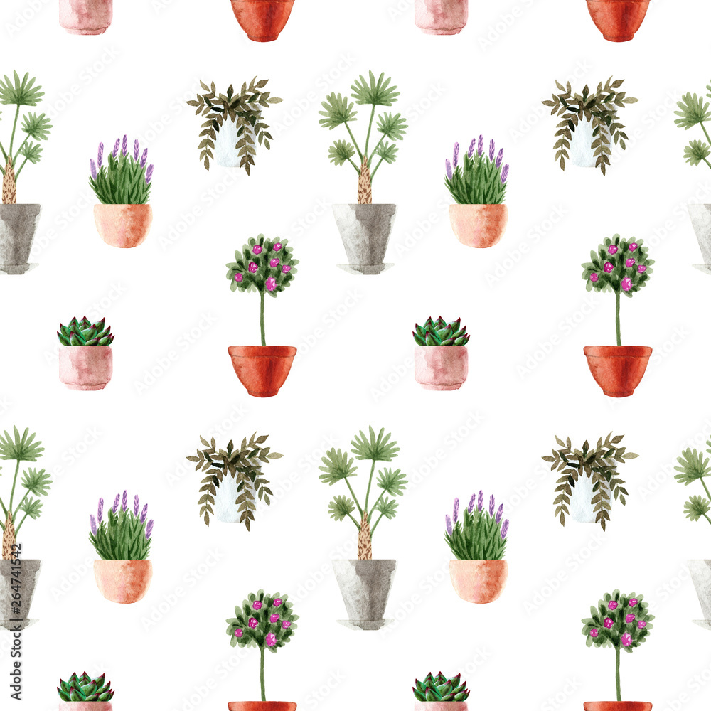 Watercolor houseplants. Hand painted house green plants in flower pots. Flowers isolated on white background.