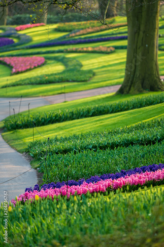 paths, trees and flowers in the garden