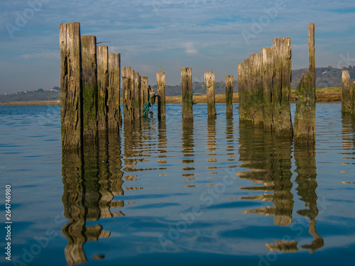 Pier Posts in water © StepSims8971