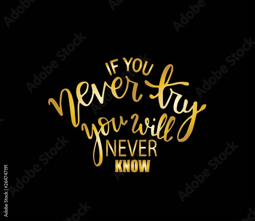 Wallpaper Mural If you never try you will never know. Inspirational hand lettering quotes. Motivation saying for cards, posters and t-shirt  Torontodigital.ca