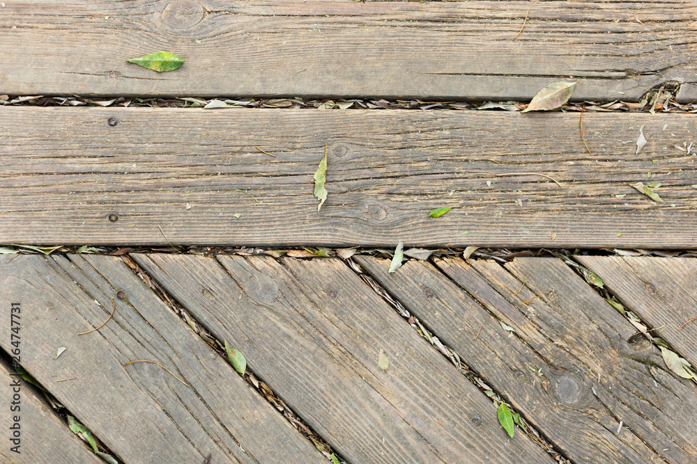Obraz premium paving from old boards with green leaves