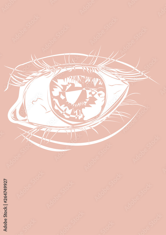 Beautiful woman eye vector makeup Beautiful woman eye vector makeup