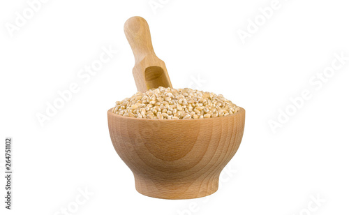 pearl barley in wooden bowl and scoop isolated on white background. nutrition. bio. natural food ingredient.front view.