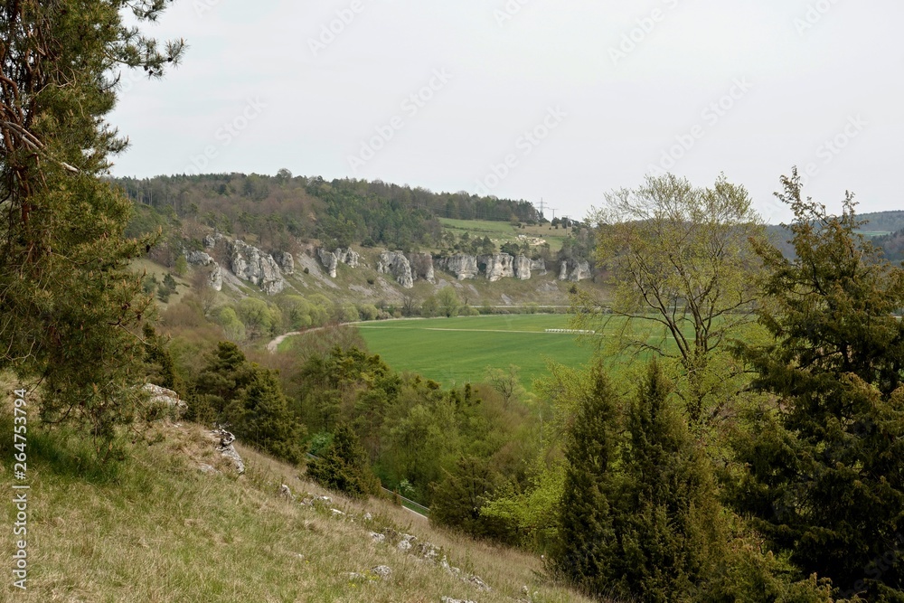 Altmühltal - Blick auf die zwölf Apostel - Felsen