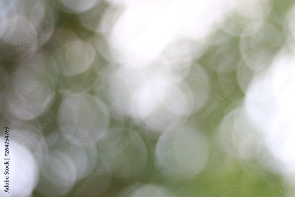 Obraz premium Blur bokeh./ Sparkling green, yellow, bright red, bright orange.