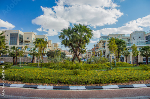 Fototapeta Naklejka Na Ścianę i Meble -  south tropic city street ring road around flower bed with green grass surface and palm trees, small building apartments background, summer bright colorful hot season weather time