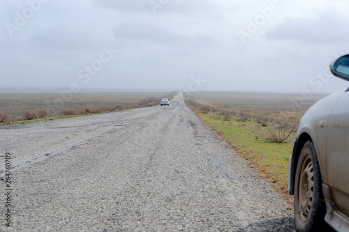 A car on the road in a wild steppe in spring