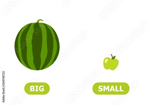 Illustration of the opposites of a big watermelon and a small apple..Card for teaching aid, for a foreign language learning. Vector illustration on white background..