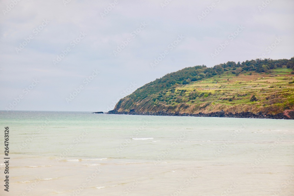 Fototapeta premium landscape Nature sea flower Background