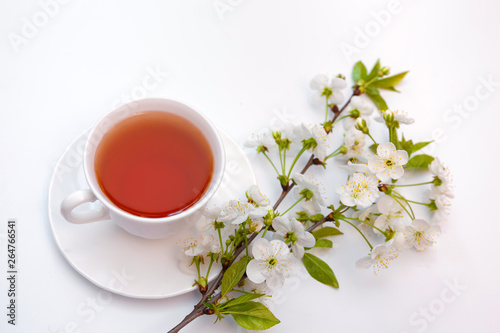 cup with tea and a blooming twig of cherry