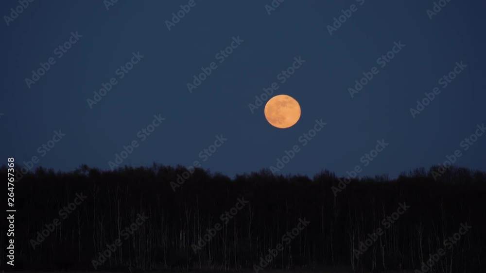 Epic big full moon rising in Amager 18 min in 30 sec 4K 60 fps Epic big full moon rising in Amager 18 min in 30 sec 4K 60 fps