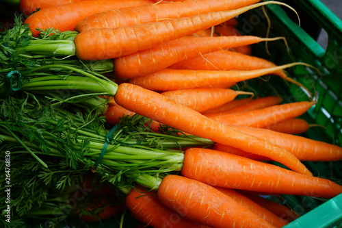 Fresh carrots for sale at a farmers market