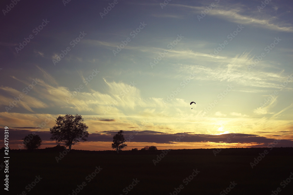 clouds background sky / beautiful background top weather clouds