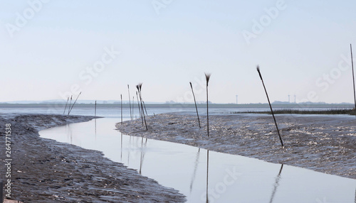 Niedrigwasser an der Elbe