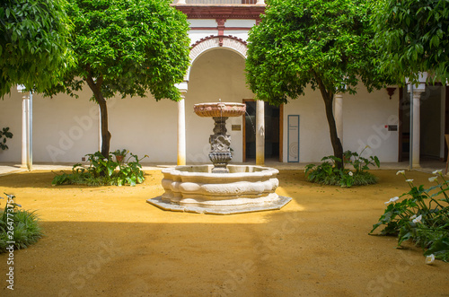 Palace of Benameji, Ecija, Spain photo