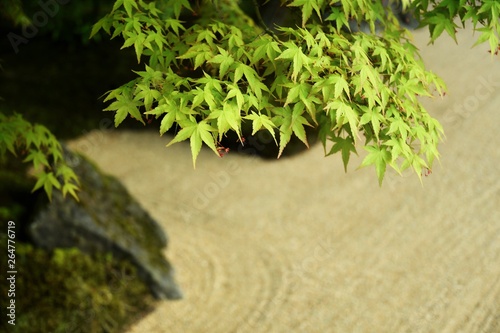 Fototapeta Naklejka Na Ścianę i Meble -  日本の庭