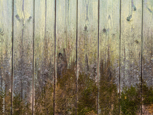 Old wooden wall painted with paint.
