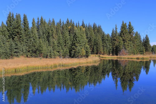 Upper Schwabacher-Evergreen Reflection