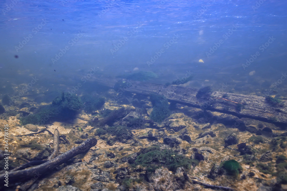 Obraz premium underwater landscape transparent lake / fresh water ecosystem unusual landscape under water