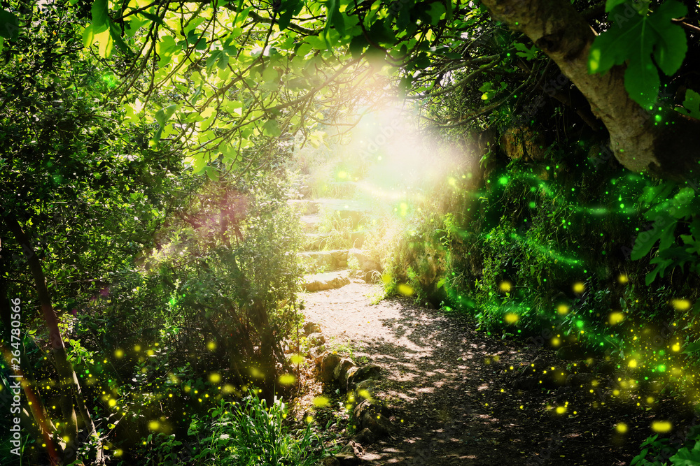 Fototapeta premium Road and stone stairs in magical and mysterious dark forest with mystical sun light and firefly. Fairy tale concept