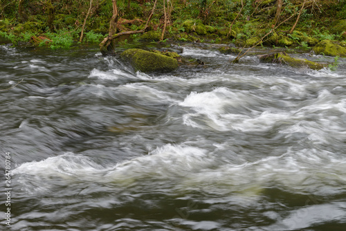 blurred image of the movement of water in a beautiful forest river with a waterfall