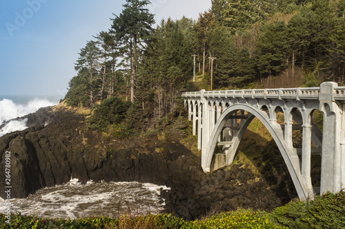 A beautiful arched concrete bridge on the wild Oregon coastline