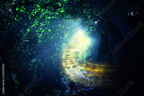 Fototapeta Naklejka Na Ścianę i Meble -  Road and stone stairs in magical and mysterious dark forest with mystical sun light and firefly. Fairy tale concept