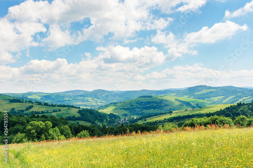 beautiful summer countryside in mountains. wonderful sunny day scenery. grassy rural fields and meadows with wild herbs. hills and mountains in the distance. blue sky with fluffy clouds