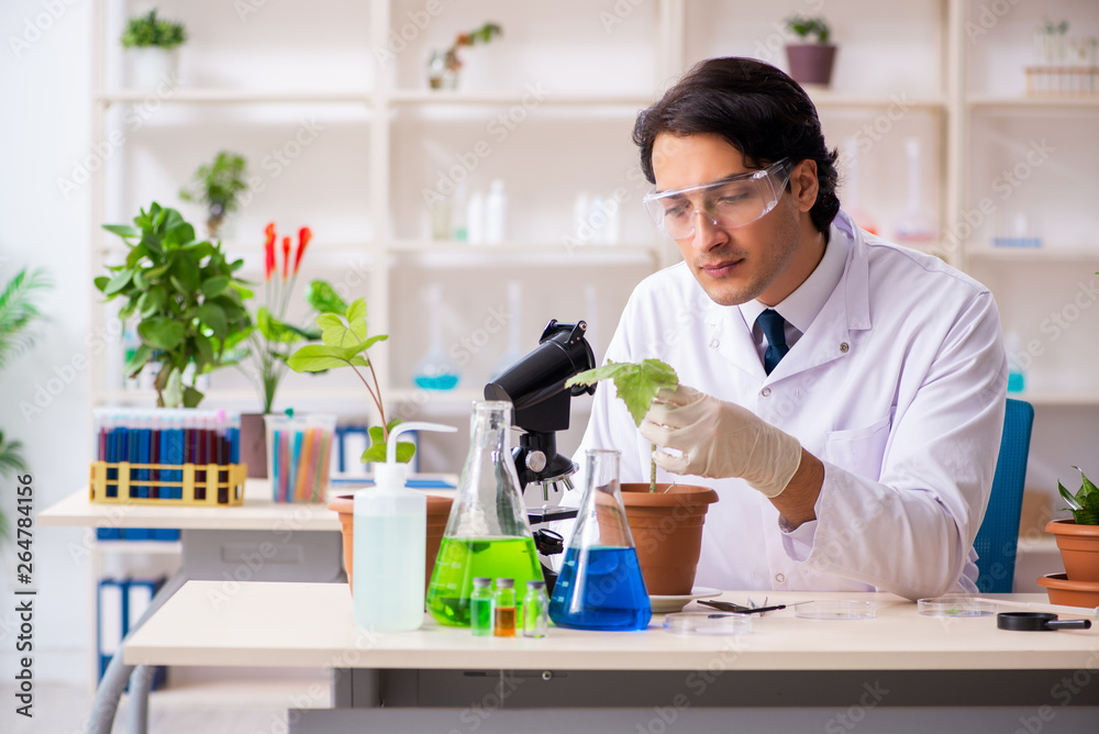 Biotechnology chemist working in lab Biotechnology chemist working in lab
