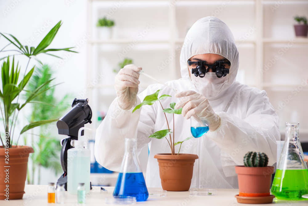 Biotechnology chemist working in lab Biotechnology chemist working in lab