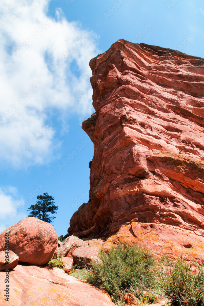 Red Rocks near Denver, Colorado USA. Lonely Pine tree at foothills of the Rocky Mountains. White clouds blue sky as background.