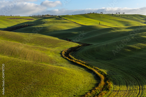 Green rolling hills near San Quirico d'Orcia, Tuscany, Italy