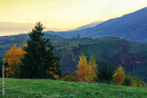 wonderful autumn landscape at dawn. beautiful rural scenery in mountains. trees in colorful foliage. distant ridge in glow of sunlight
