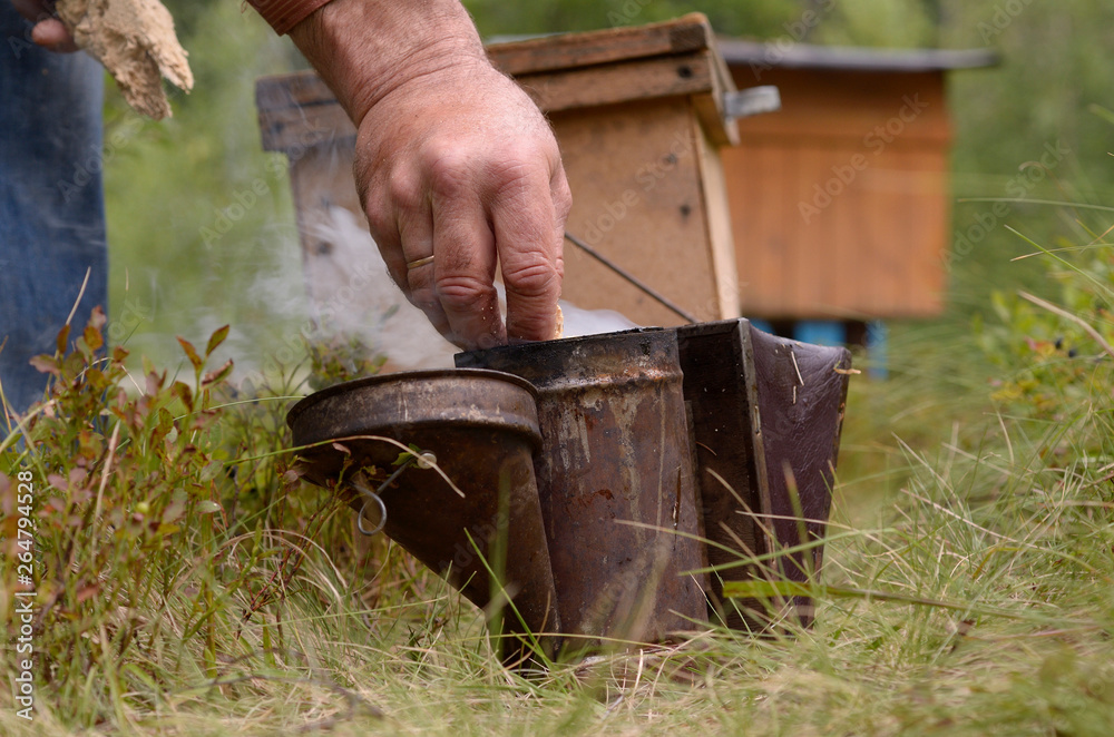 Apiary in the Carpathians. Beekeeper preparing a smoker for fumigating bees Apiary in the Carpathians. Beekeeper preparing a smoker for fumigating bees