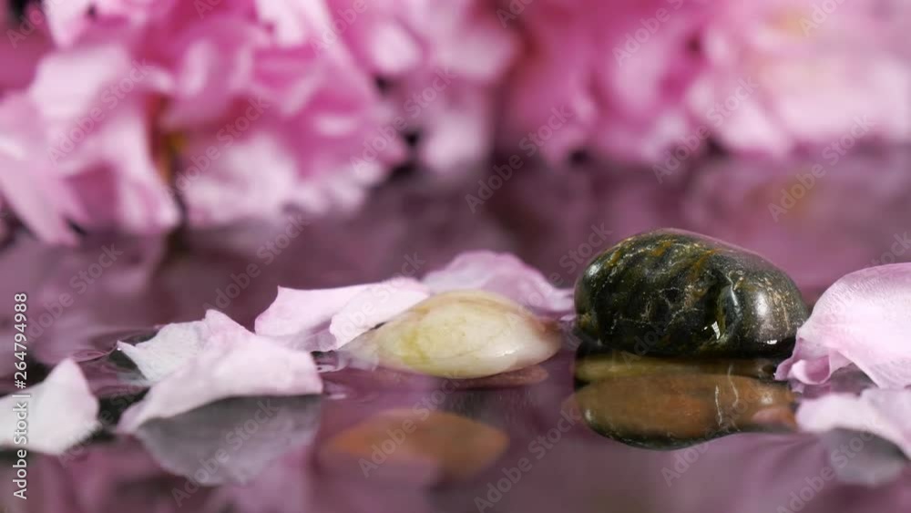 Cherry petals floating on the water surface in the foreground zen stones. 4K UHD relaxation video. Cherry petals floating on the water surface in the foreground zen stones. 4K UHD relaxation video.