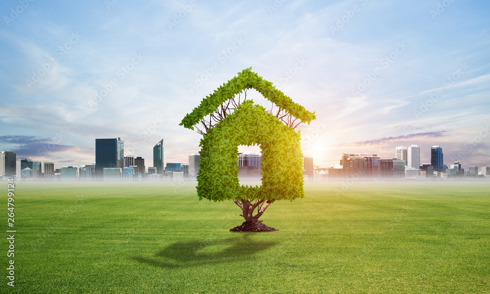 Green plant in shape of house grows at green field