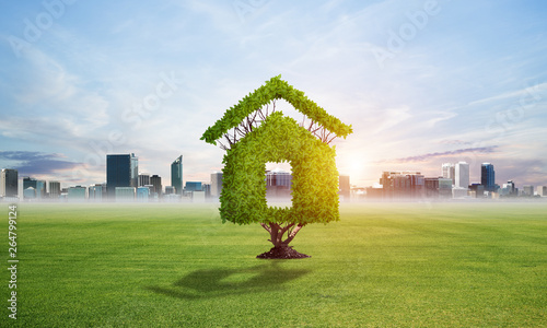 Obraz na płótnie Green plant in shape of house grows at green field w salonie