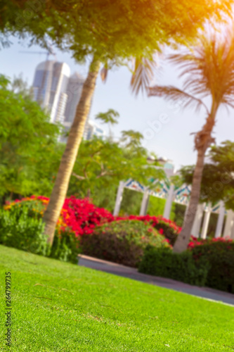 Wallpaper Mural Beautiful park footpath along the city beach. Torontodigital.ca