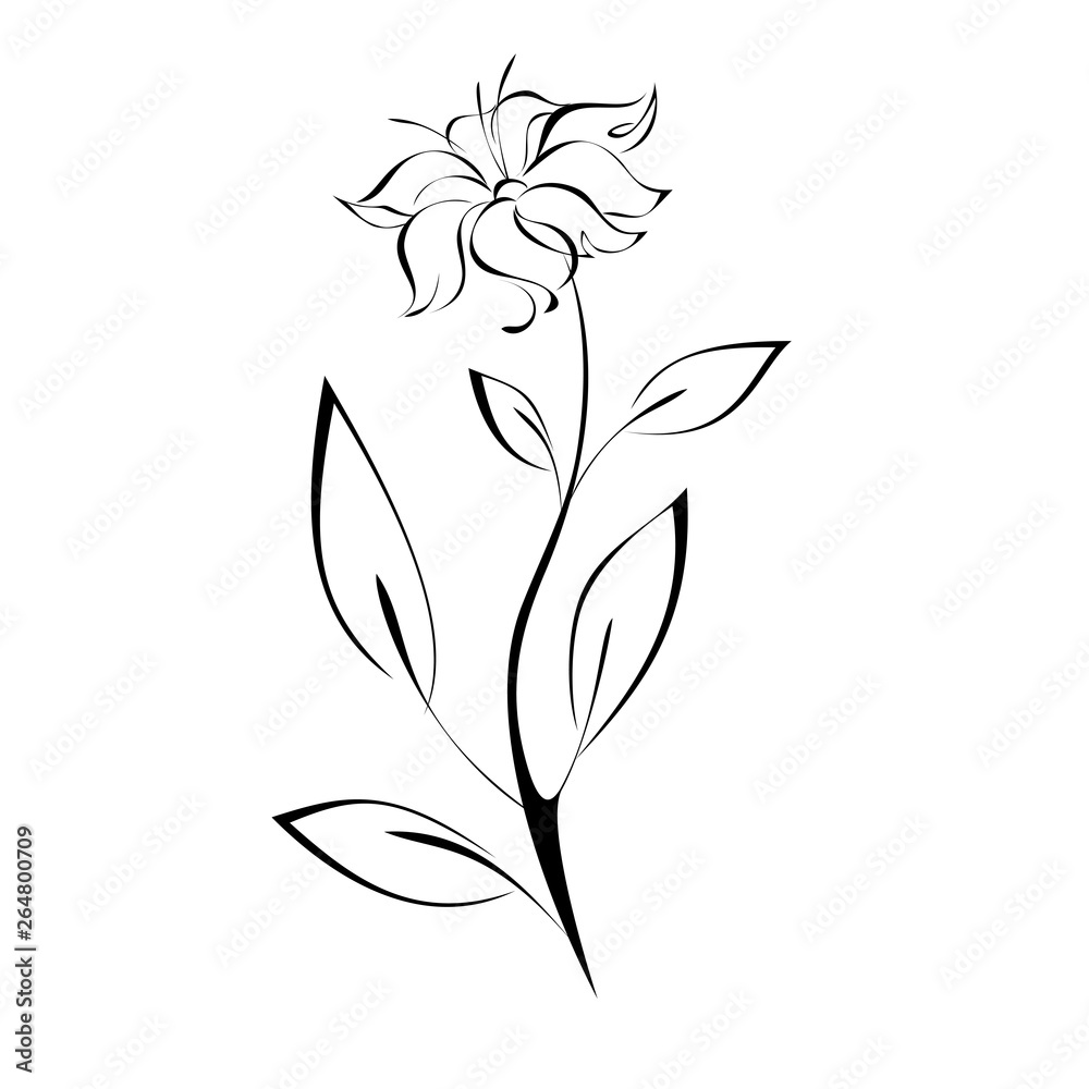 stylized flower on stem with leaf in black lines on white background stylized flower on stem with leaf in black lines on white background